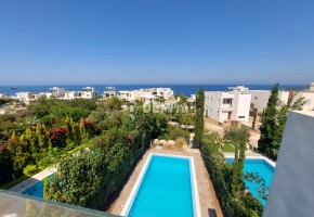 Adonis Beach Villas - Paphos